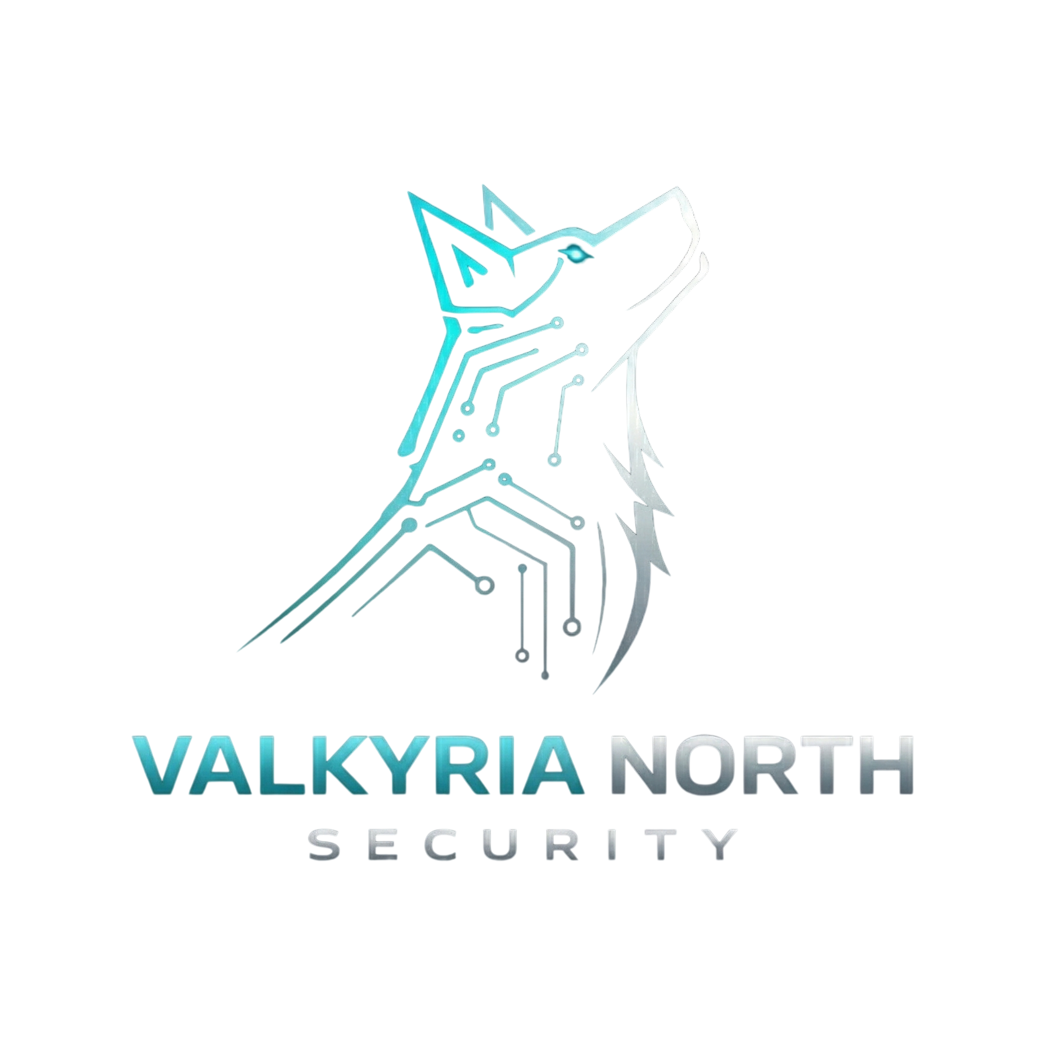 Logo Valkyria North Security